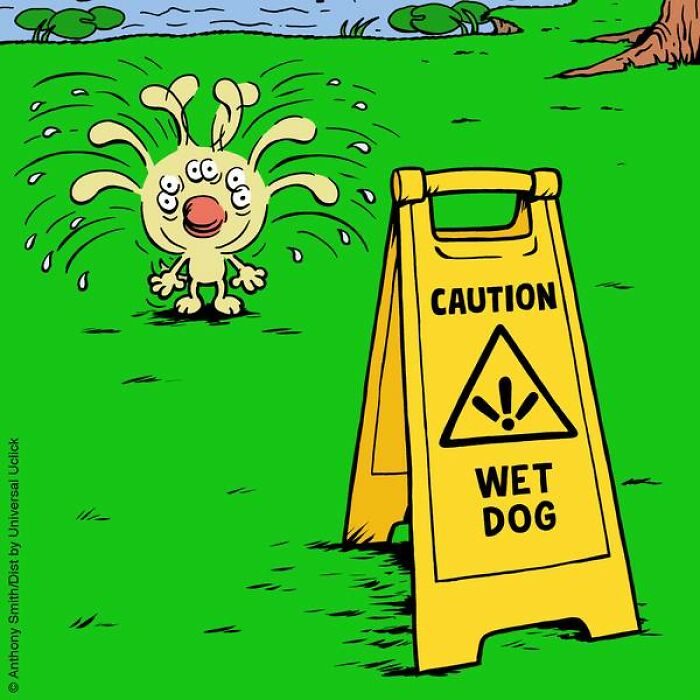 Whimsical Paws 20 Delightfully Absurd One-Panel Comics Featuring a Dog's Everyday Adventures 18
