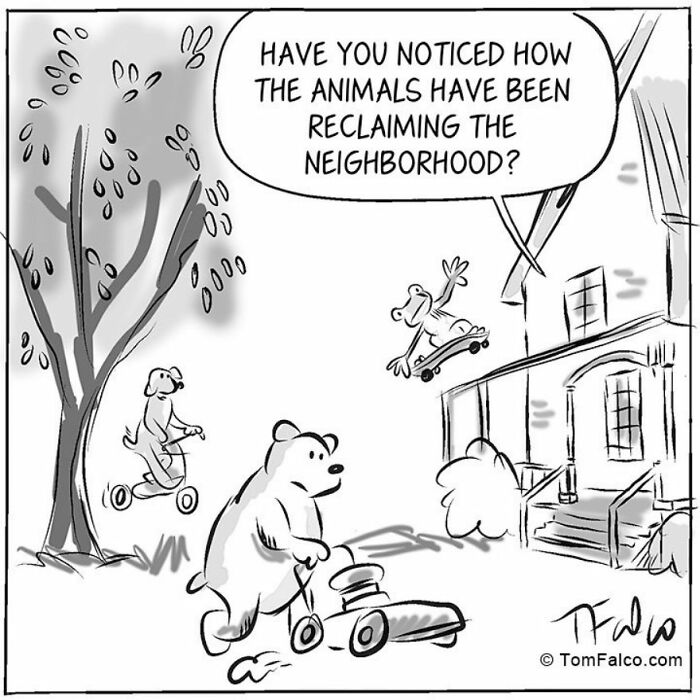 "Whimsical Vignettes of Delightful Nonsense: A Collection of 20 One-Panel Absurdities by Tomversation" 8