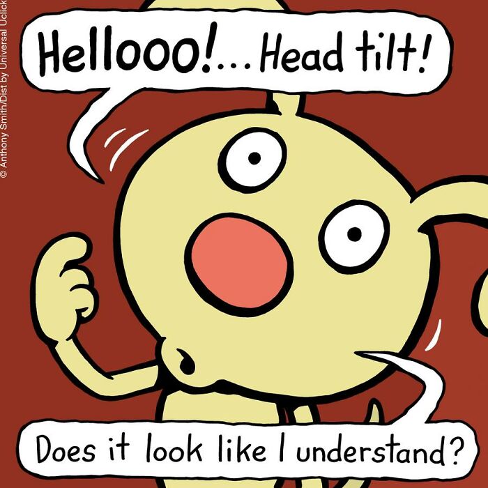 Whimsical Paws 20 Delightfully Absurd One-Panel Comics Featuring a Dog's Everyday Adventures 6