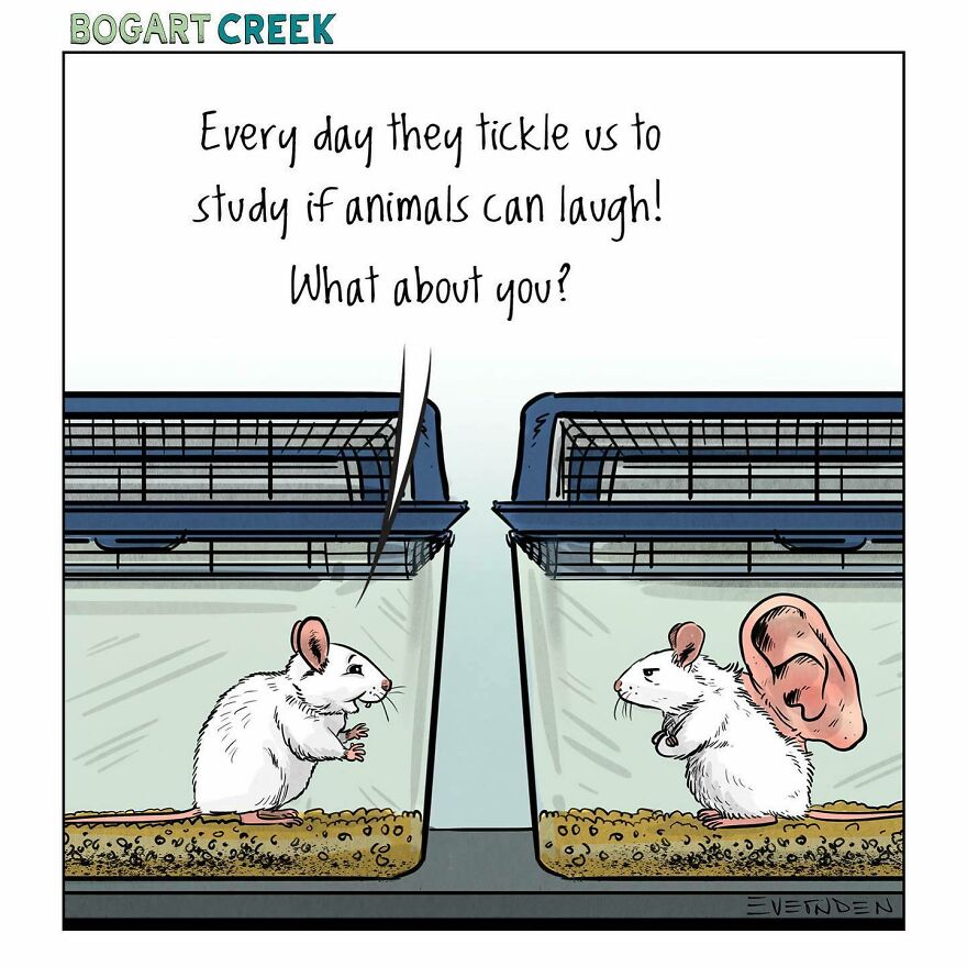 20 Quirky One-Panel Delights by Derek Evernden with a Touch of the Macabre 19
