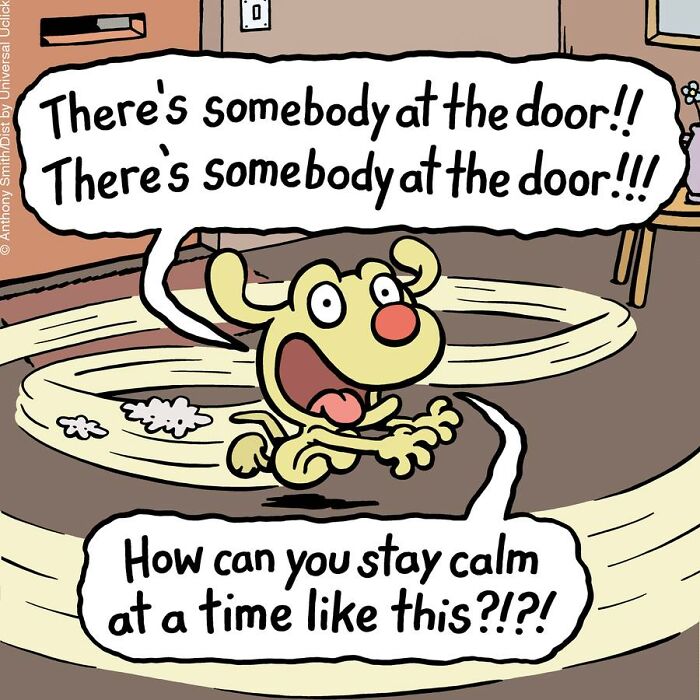 Whimsical Paws 20 Delightfully Absurd One-Panel Comics Featuring a Dog's Everyday Adventures 22
