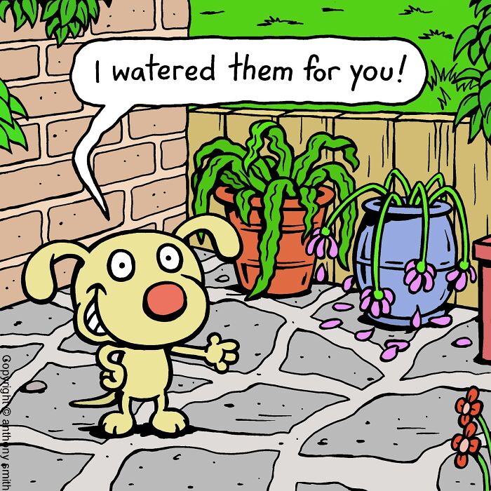 Whimsical Paws 20 Delightfully Absurd One-Panel Comics Featuring a Dog's Everyday Adventures 12
