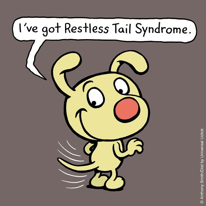 Whimsical Paws 20 Delightfully Absurd One-Panel Comics Featuring a Dog's Everyday Adventures 4