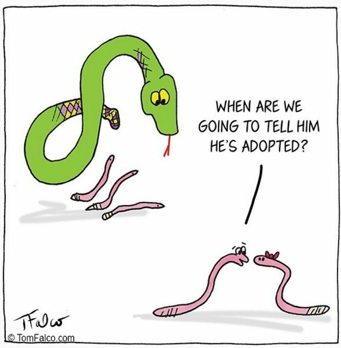 "Whimsical Vignettes of Delightful Nonsense: A Collection of 20 One-Panel Absurdities by Tomversation" 16