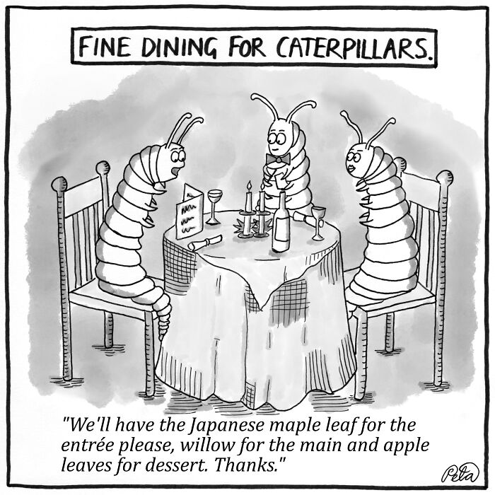 20 Cartoons Crafted to Spark Smiles and Giggles 14