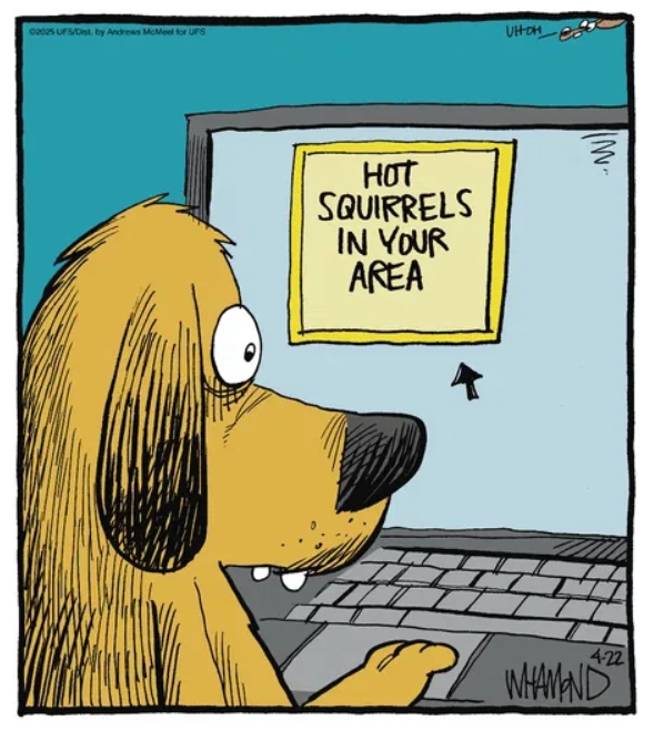 The 20 Best Reality Check Cartoons by Dave Whamond You’ll Absolutely Love 18