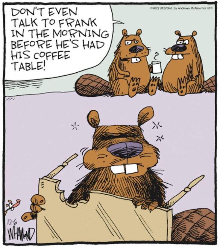The 20 Best Reality Check Cartoons by Dave Whamond You’ll Absolutely Love 8