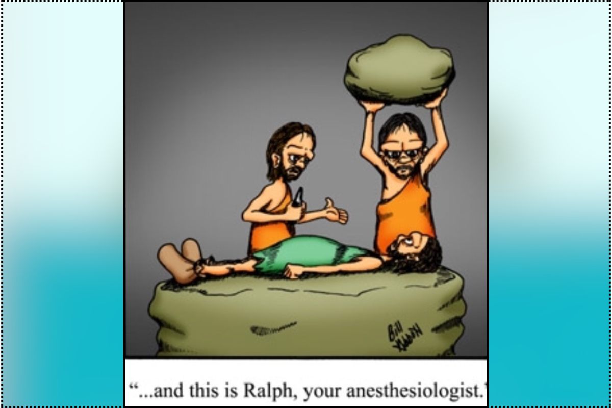 Daily Dose of Funny Cartoons