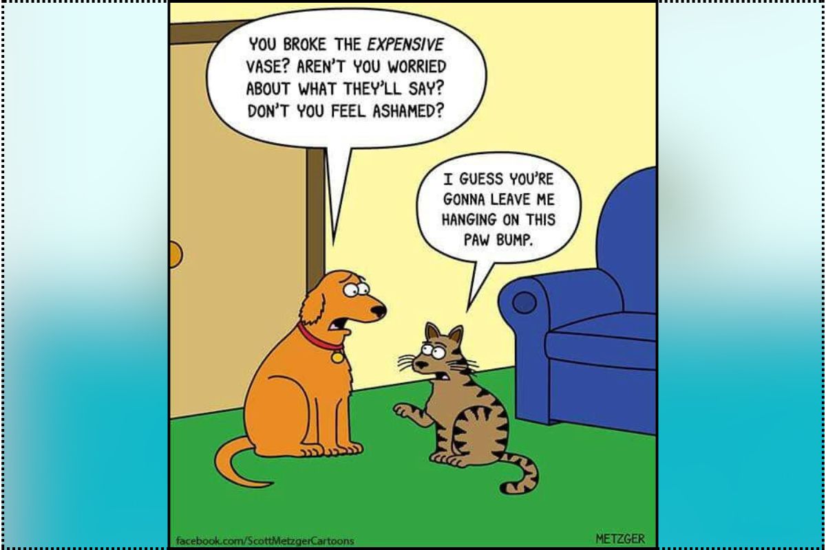 Funny Cat Comics by Scott Metzger
