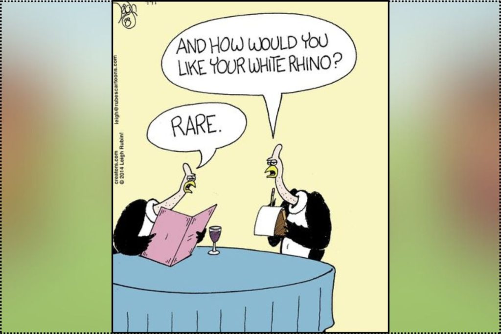 Humorous Comics by Rubes
