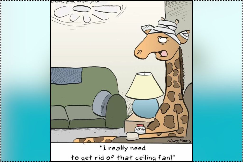 Nate Fakes Cartoons