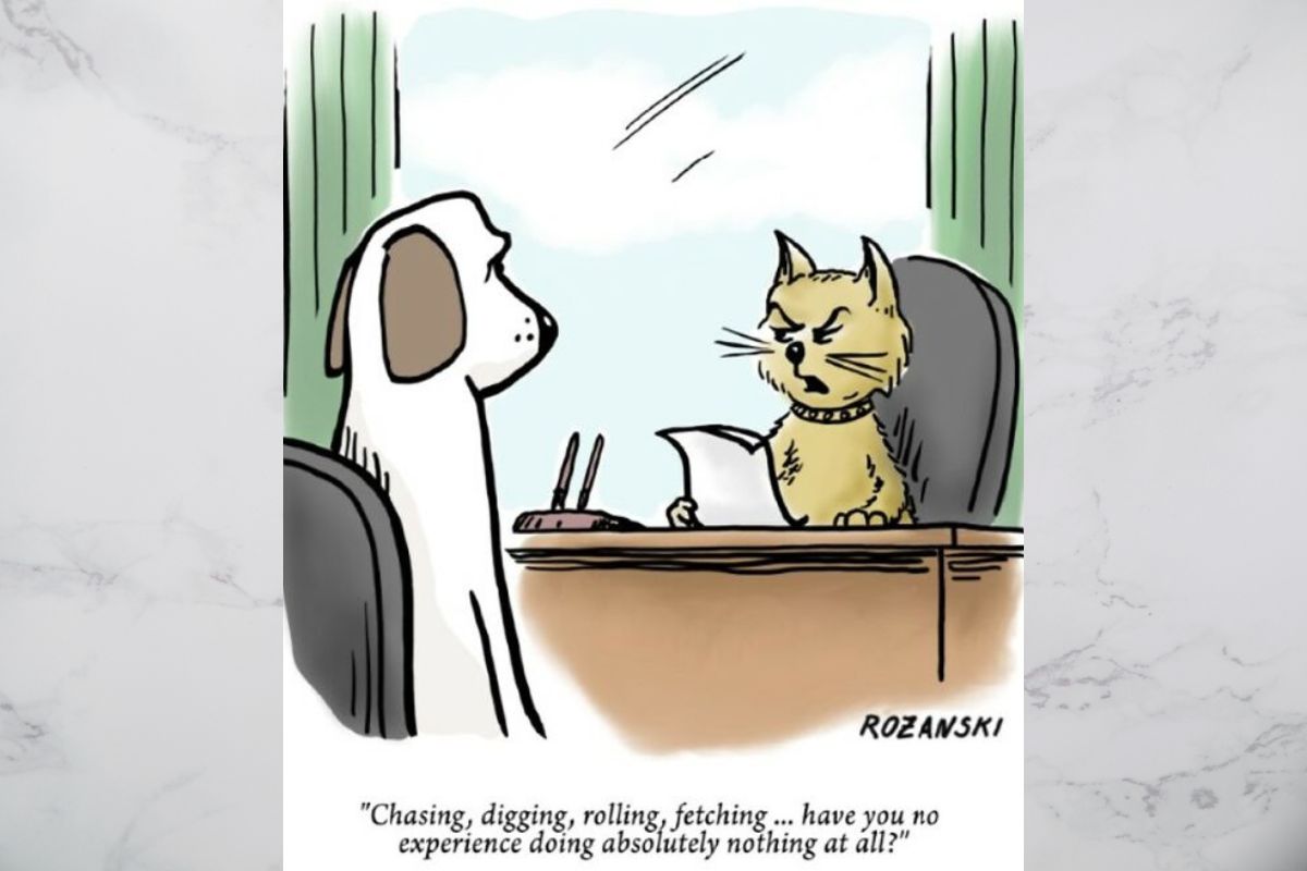 al rozanski cartoons