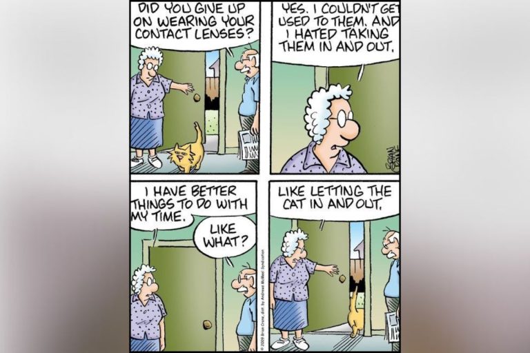 Pickles Comic Stripes Bean Crane Waffles Story Online Reading