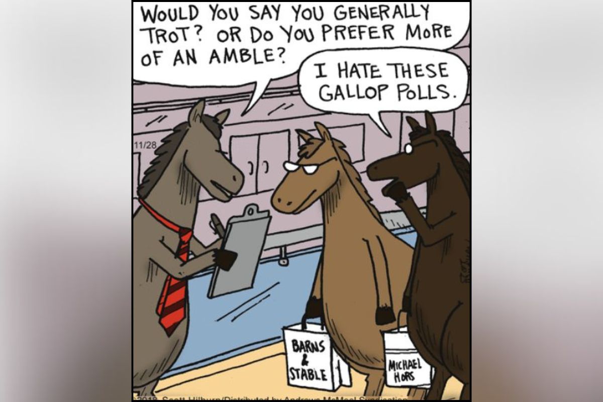 The Argyle Sweater Comics