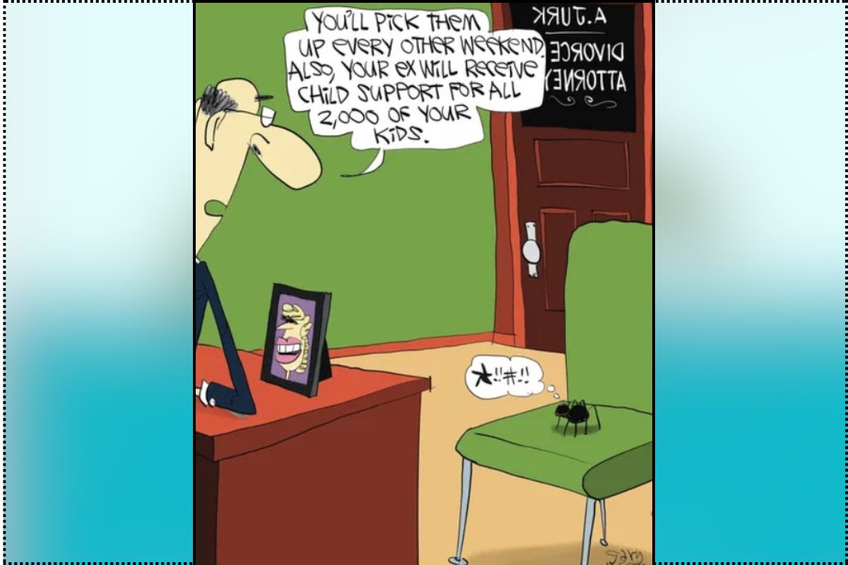 The Flying McCoys Comics